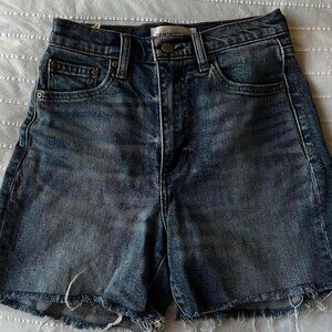 Aritzia Women's Blue Shorts